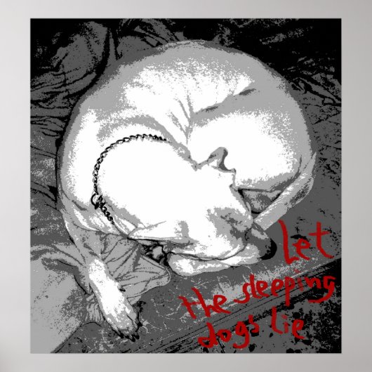 Poster Chien dormant (affiche) (Devant)