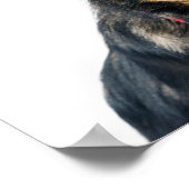 Poster Chien drôle chiot (Coin)