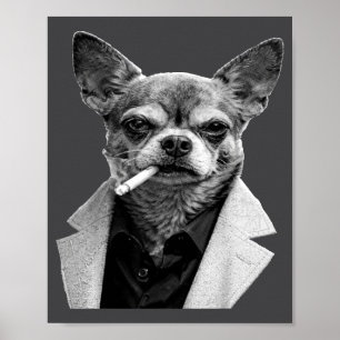 Poster Chien drôle fumant un cigare Chihuahua Meme Humour