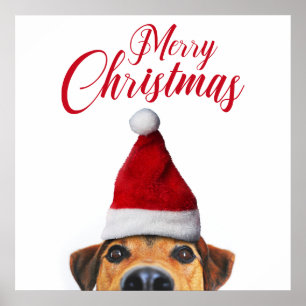 Poster Chien drôle mignon curieux avec un chapeau de Père