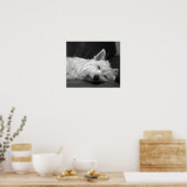 Poster Chien du mignon Westie (West Highland Terrier) (Cuisine)