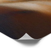 Poster Chien du sang (Coin)