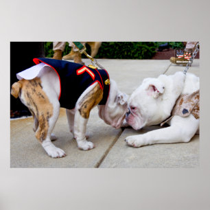 POSTER CHIEN DU SERVICE MILITAIRE AMÉRICAIN