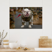 POSTER CHIEN DU SERVICE MILITAIRE AMÉRICAIN (Cuisine)