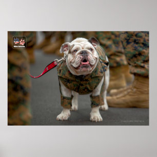 POSTER CHIEN DU SERVICE MILITAIRE AMÉRICAIN