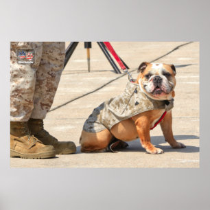 POSTER CHIEN DU SERVICE MILITAIRE AMÉRICAIN