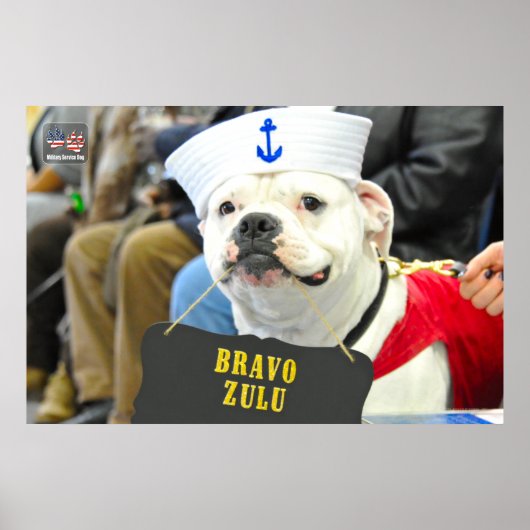 POSTER CHIEN DU SERVICE MILITAIRE AMÉRICAIN (Devant)