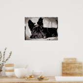 Poster Chien écossais reposant avec un arrière - plan de  (Cuisine)