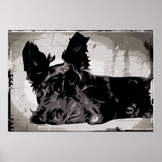 Poster Chien écossais reposant avec un arrière - plan de  (Devant)