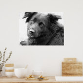Poster Chien en noir et blanc (Cuisine)