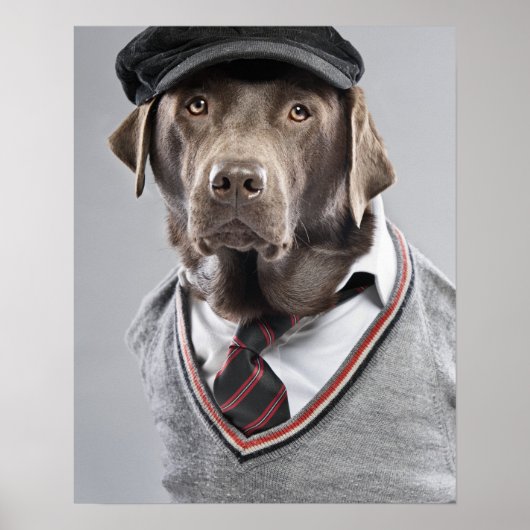 Poster Chien en pull et casquette (Devant)