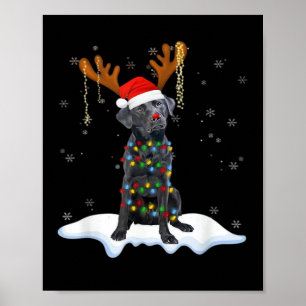Poster Chien en pyjama avec lumière de sapin de Noël Labr
