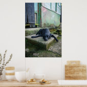 Poster Chien endormi (Cuisine)