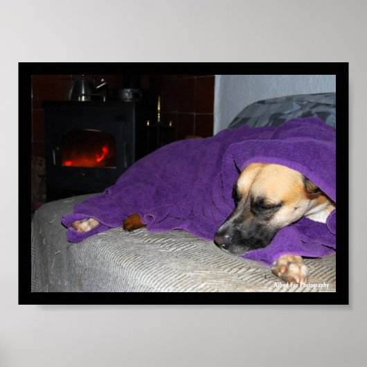 Poster Chien endormi près de la cheminée (Devant)