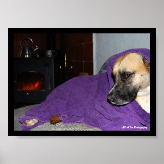 Poster Chien endormi près de la cheminée (Devant)