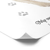 Poster Chien espagnol Springer anglais (Coin)