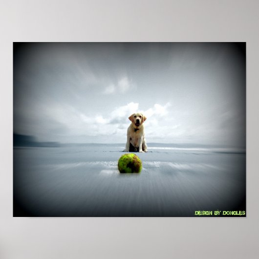 Poster Chien et balle (Devant)