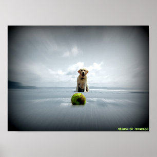 Poster Chien et boule