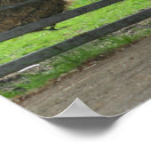 Poster Chien et cheval au ranch à Menton, France (Coin)