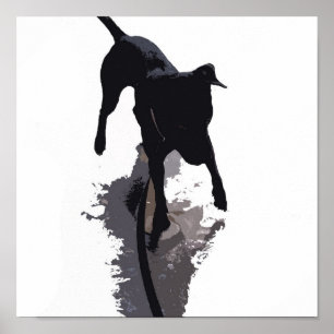 Poster chien et ombre posterized
