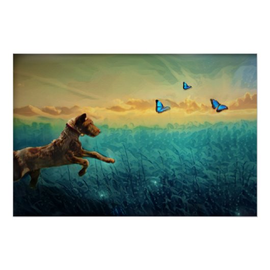 Poster Chien Et Papillon (Devant)
