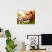 Poster Chien et poussin (Bureau à domicile)