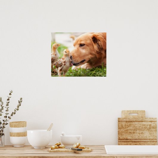 Poster Chien et poussin (Cuisine)