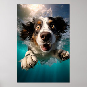 Poster Chien Excité Nageant Sous L'eau Design