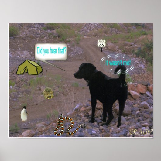 Poster Chien Fart (Devant)