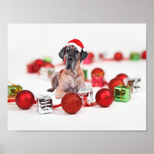 Poster Chien Great Dane Mignon Chapeau de Noël de Santa (Devant)