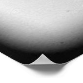 Poster Chien gris Weimaraner (Coin)