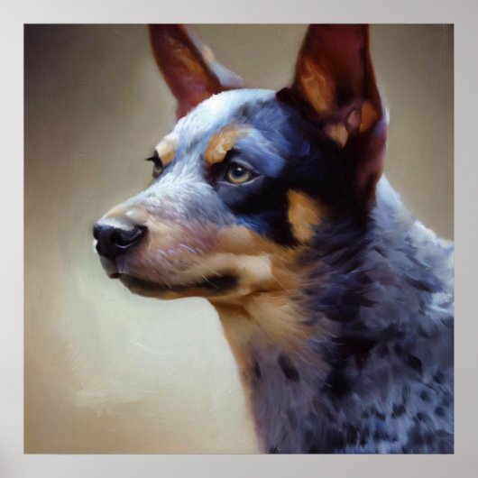 Poster Chien Heeler bleu (Devant)