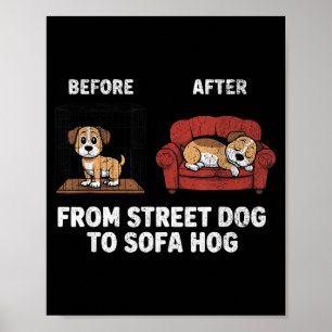 Poster Chien Hog Chien Adoption Rue Canapé Sauvetage Mème