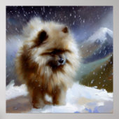 Poster Chien Keeshond (Devant)