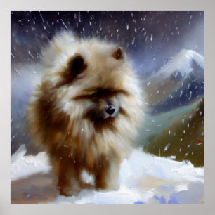 Poster Chien Keeshond