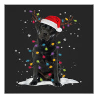 Chien Labrador Noir Xmas Noël Lumière de l'arbre d