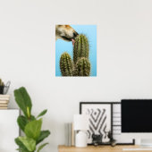 Poster Chien léchant cactus, gros plan (Bureau à domicile)