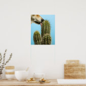 Poster Chien léchant cactus, gros plan (Cuisine)