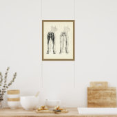 Poster Chien Leg Skeleton Muscle Anatomie Imprimer (Cuisine)