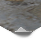 Poster Chien Lhasa Apso dans un jardin (Coin)