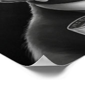 Poster Chien mafia en niveaux de gris avec chapeau et cig (Coin)