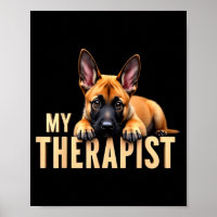 Chien Malinois Mignon Mon Thérapeute Berger Belge