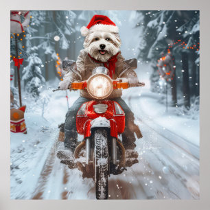Poster Chien maltais à moto Noël
