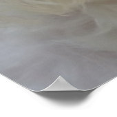 Poster Chien maltais blanc (Coin)