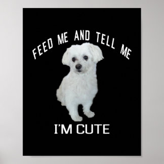 Poster Chien Maltais mignon Chien Maltais Drôle Citation