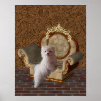 Chien Maltais Sur Chaise Chien Art