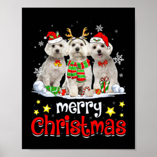 Poster Chien Maltese Joyeux Noël Mignonne Chien Maltais C