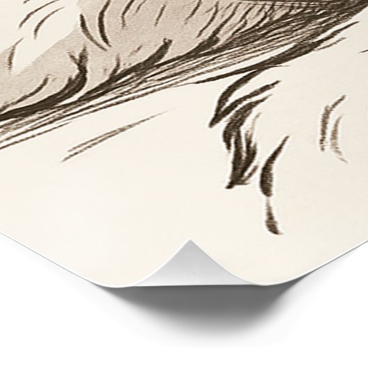 Poster Chien Max (Coin)