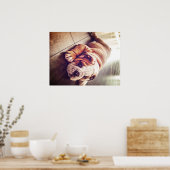 Poster Chien menteur de Bulldog anglais | Photo de chien (Cuisine)