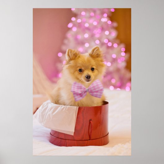 Poster Chien mignon avec cabot rose Photo de Noël (Devant)